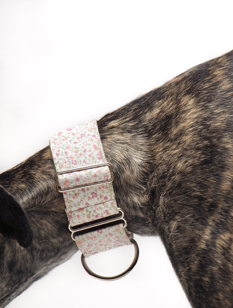Martingale Dolce