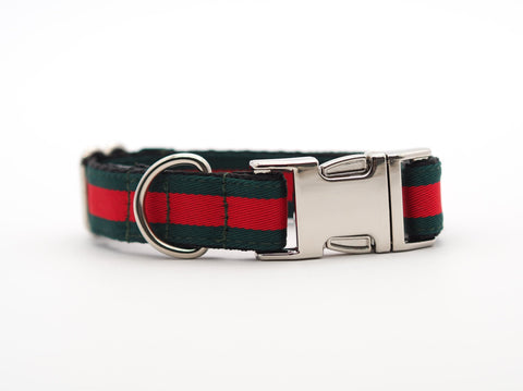 Collar para perros Italia