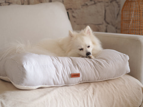 Cama para perros Monik