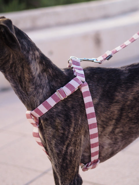 Arnés para perros Red Stripes