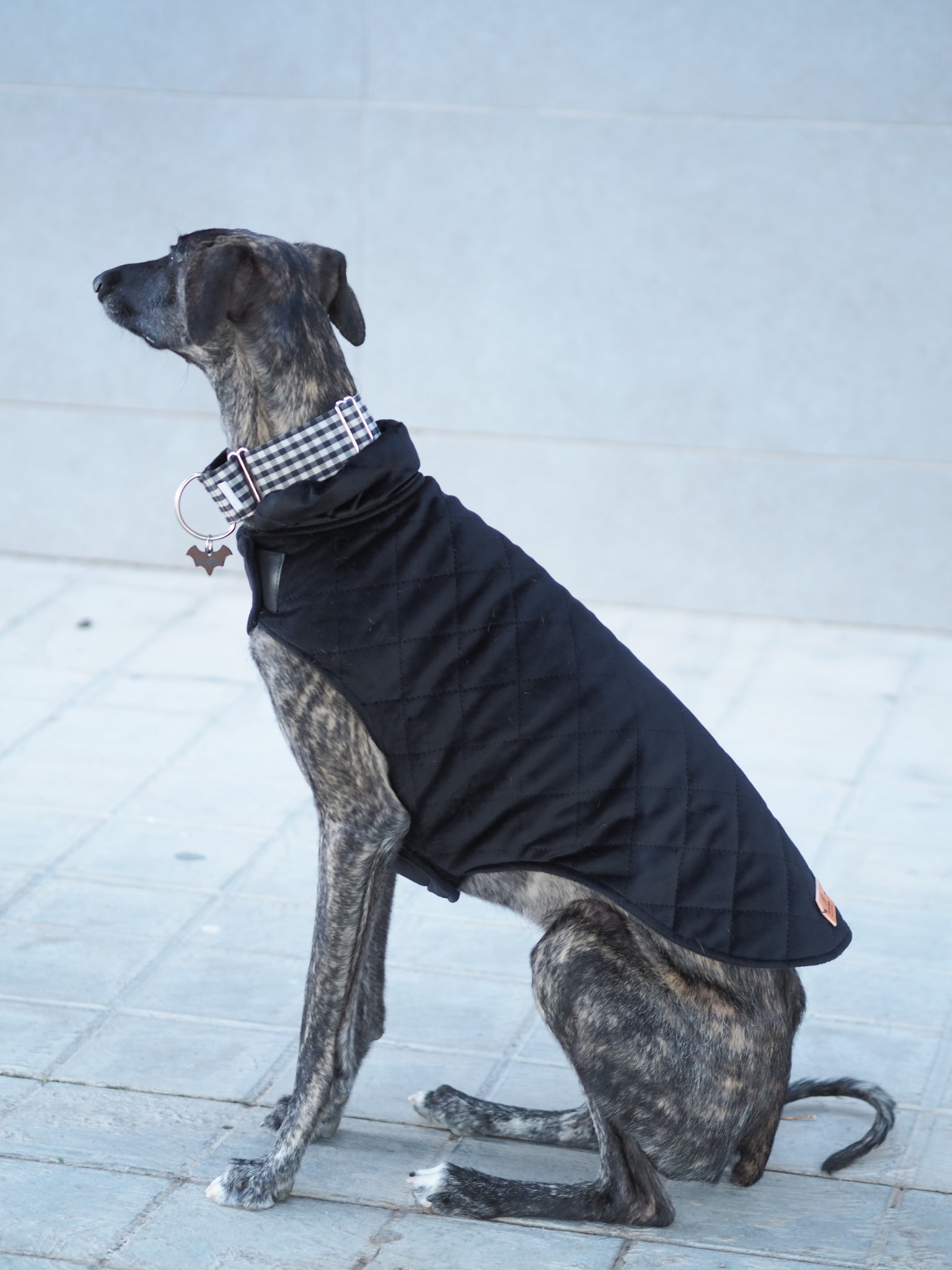 Cama para perros vichy negro – Bambino Doggies
